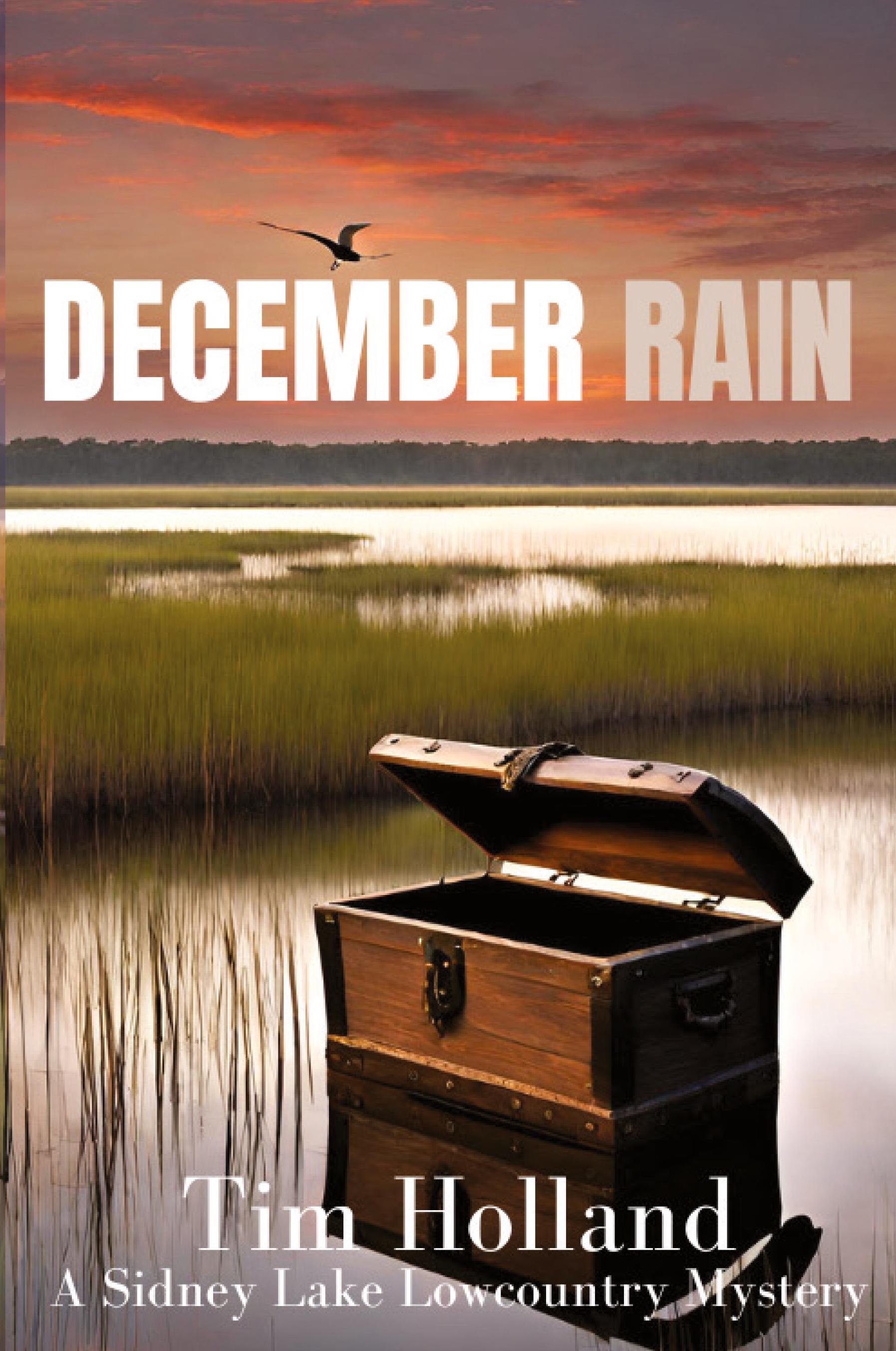 Vorderes Coverbild December Rain