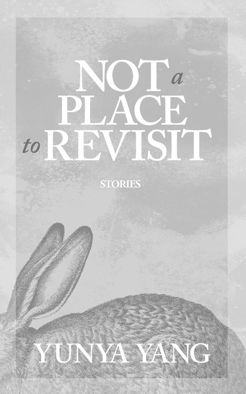 Vorderes Coverbild Not a Place to Revisit