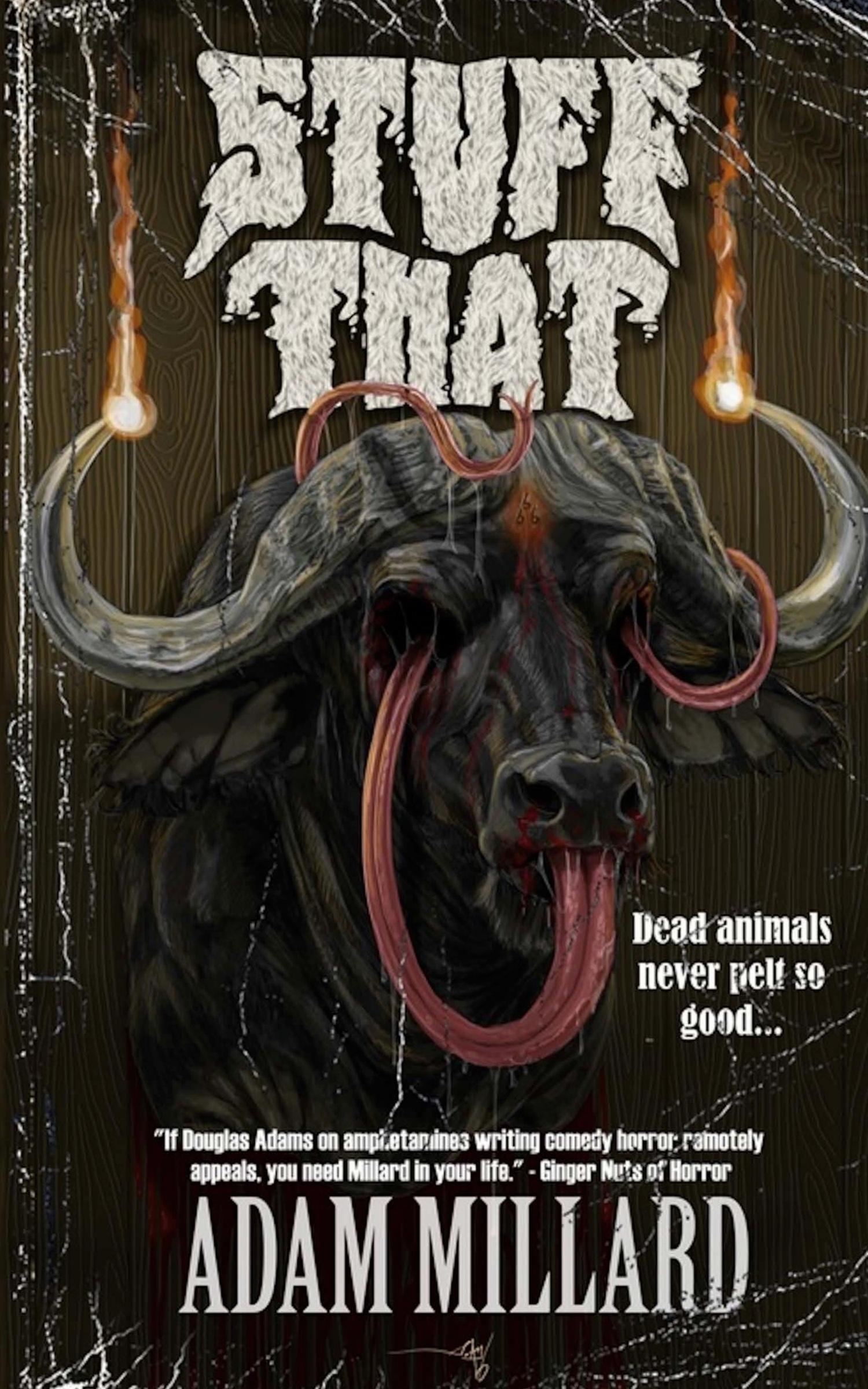 Vorderes Coverbild Stuff That