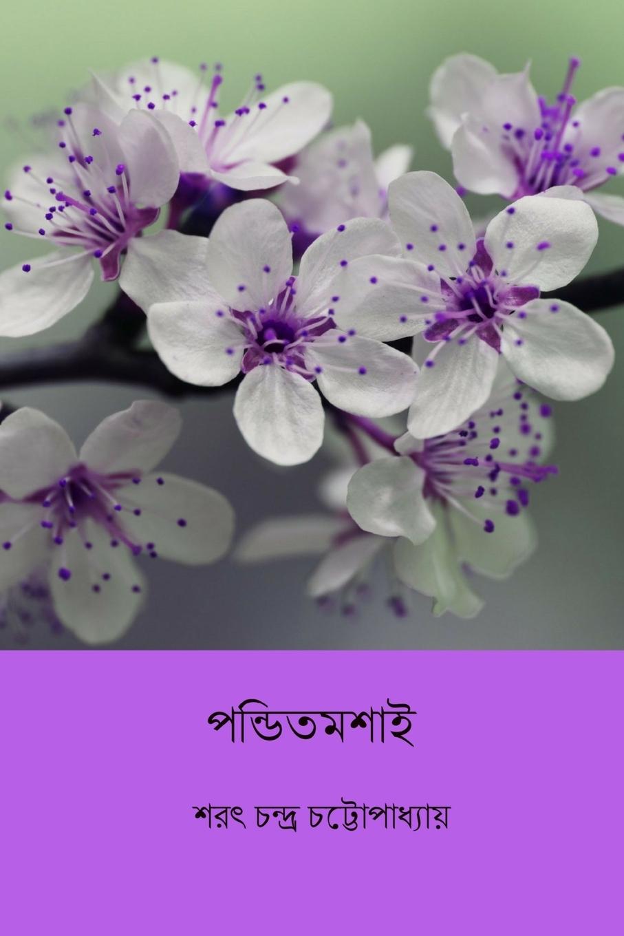 Vorderes Coverbild Pandit Mashai