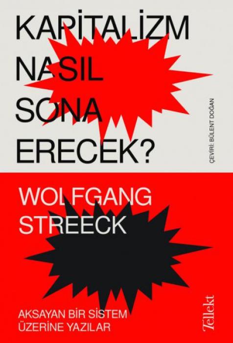 Vorderes Coverbild Kapitalizm Nasil Sona Erecek