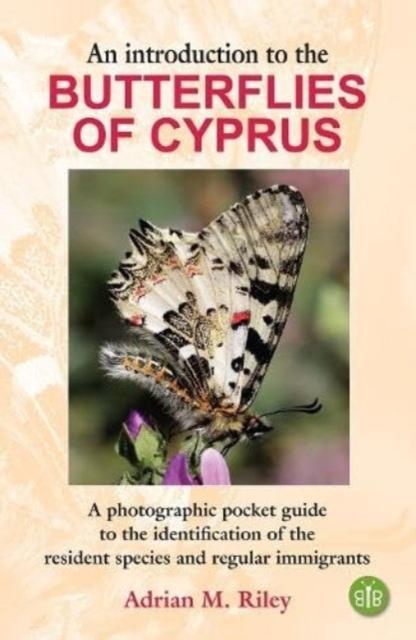 Vorderes Coverbild An Introduction to the Butterflies of Cyprus