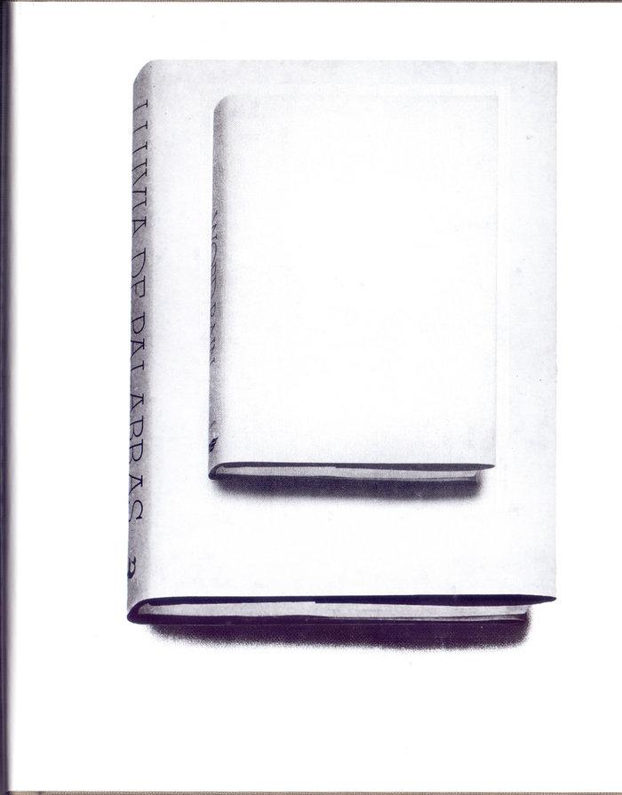 Vorderes Coverbild LLUVIA DE PALABRAS (o una introducción discursiva a las íntimas investigaciones filosóficas de G,R,E,T,A, G,A,R,B,O, dice)