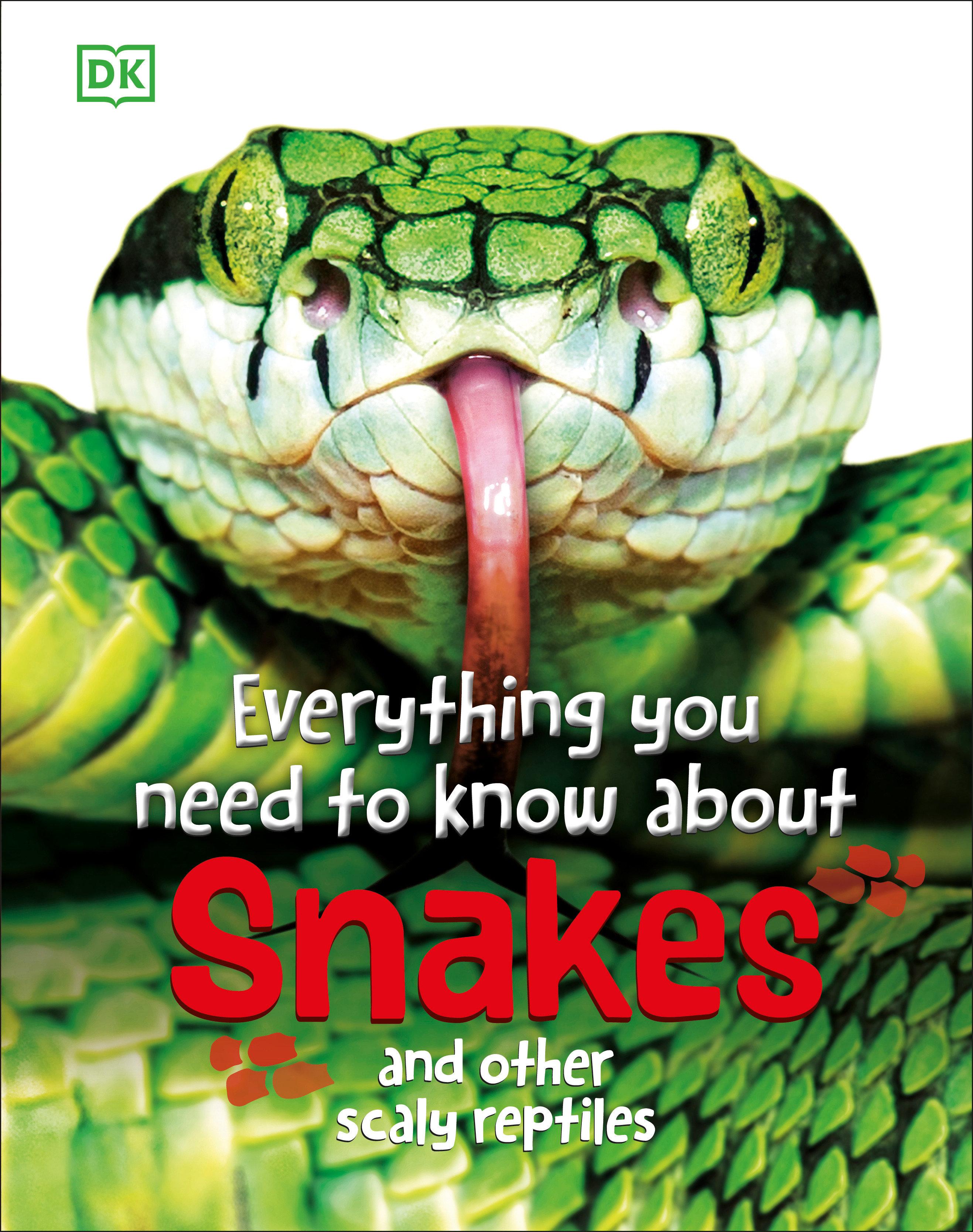 Vorderes Coverbild Everything You Need to Know about Snakes