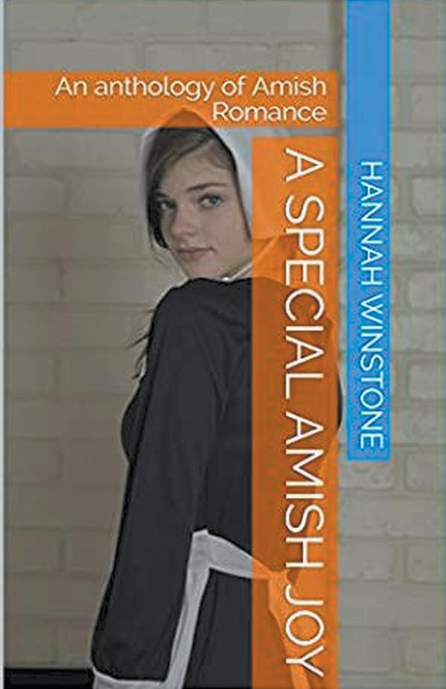 Vorderes Coverbild A Special Amish Joy