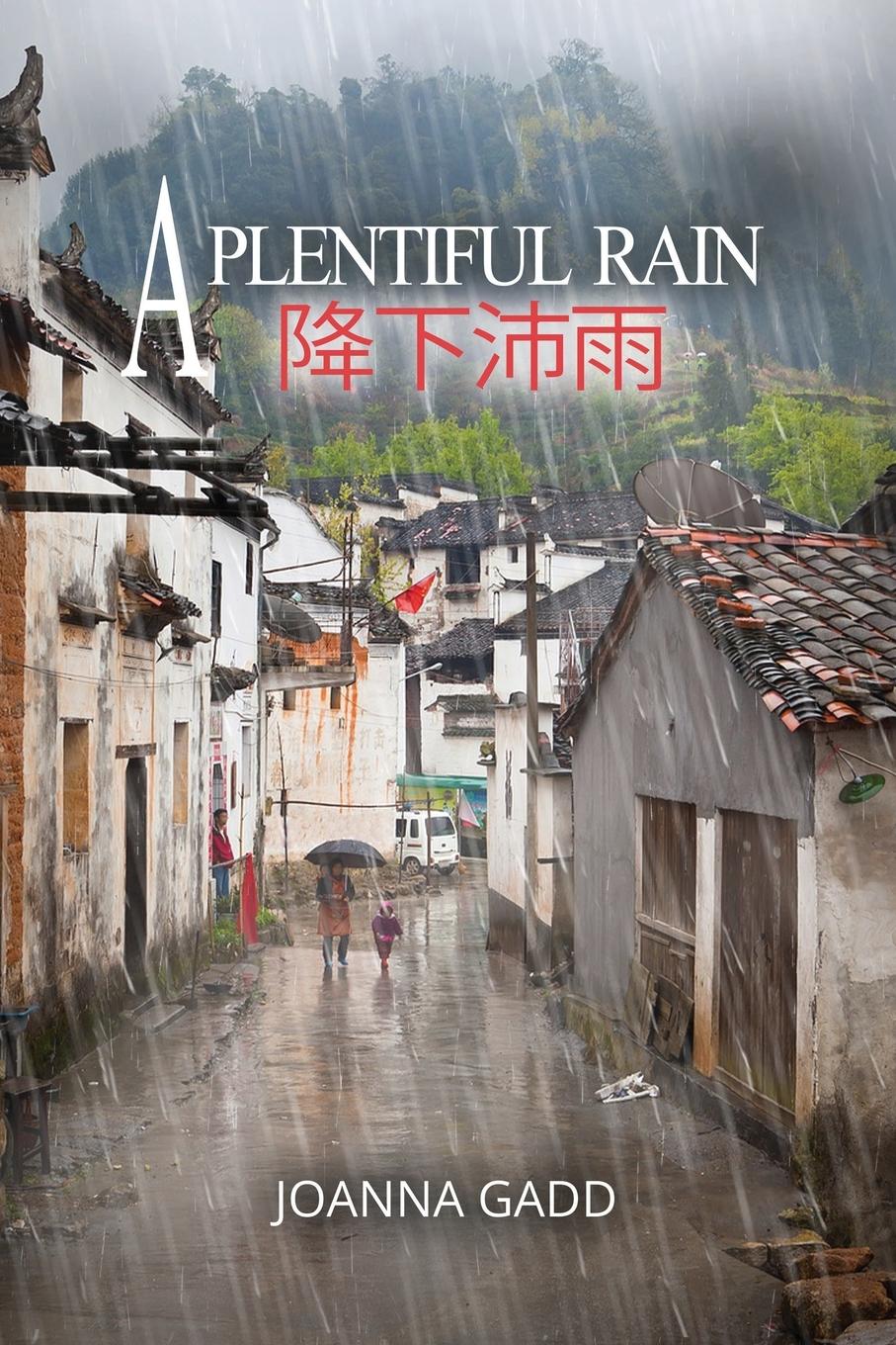 Vorderes Coverbild A Plentiful Rain