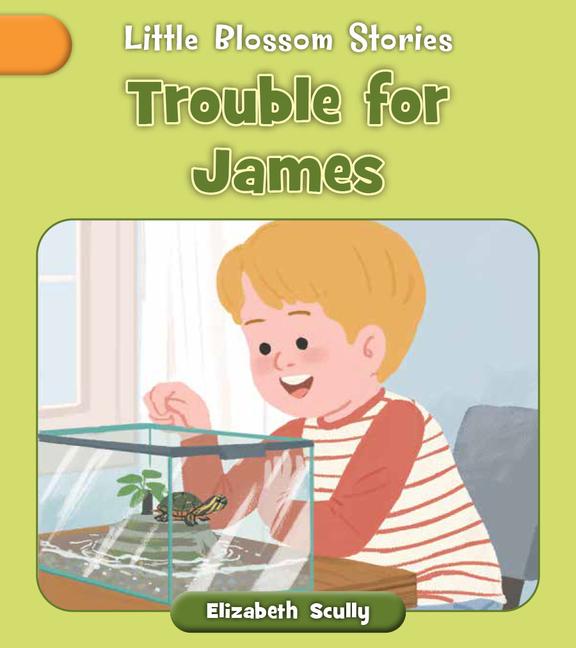 Vorderes Coverbild Trouble for James