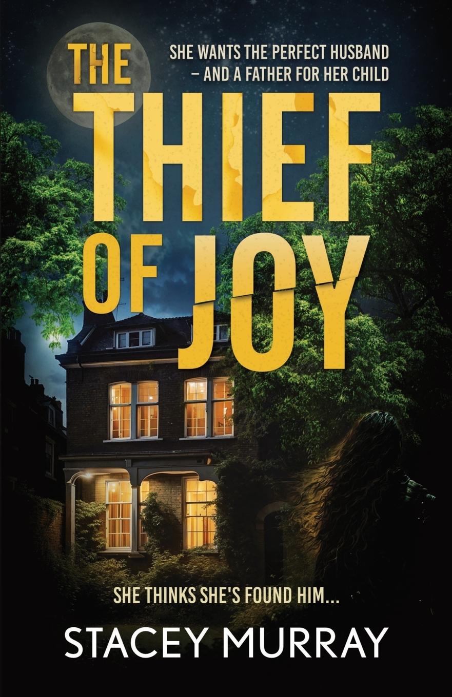 Vorderes Coverbild The Thief of Joy