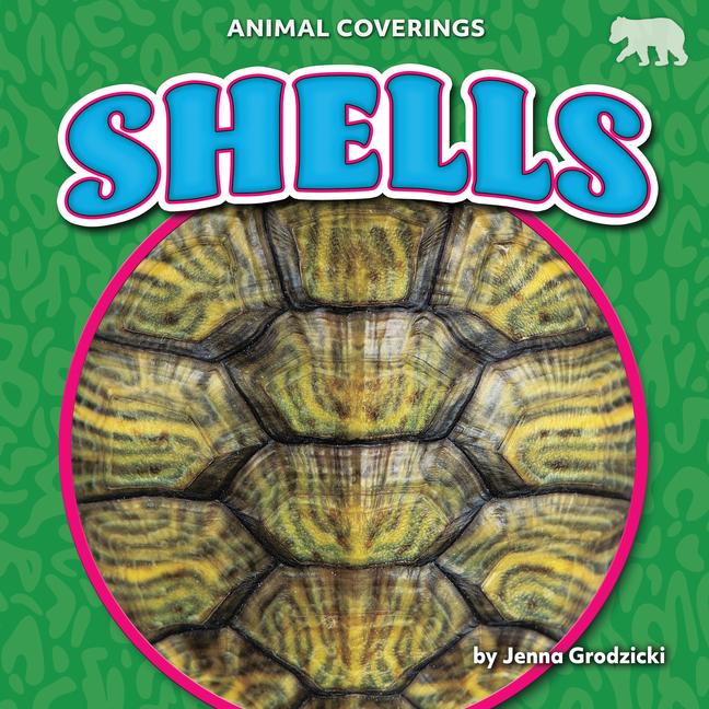 Vorderes Coverbild Shells