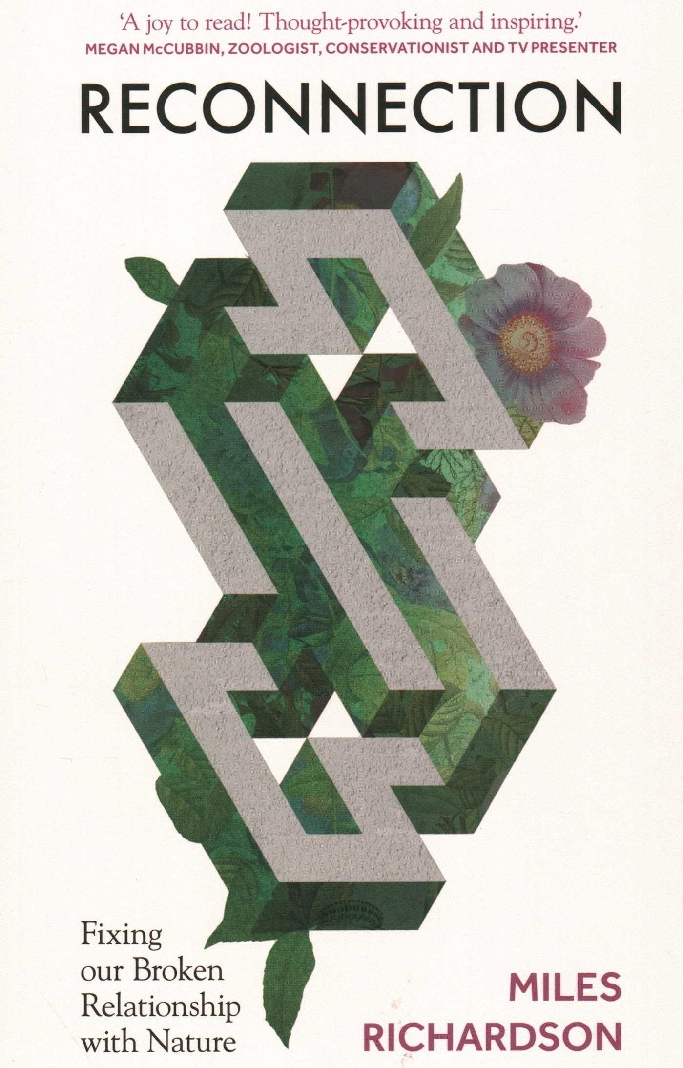 Vorderes Coverbild Reconnection