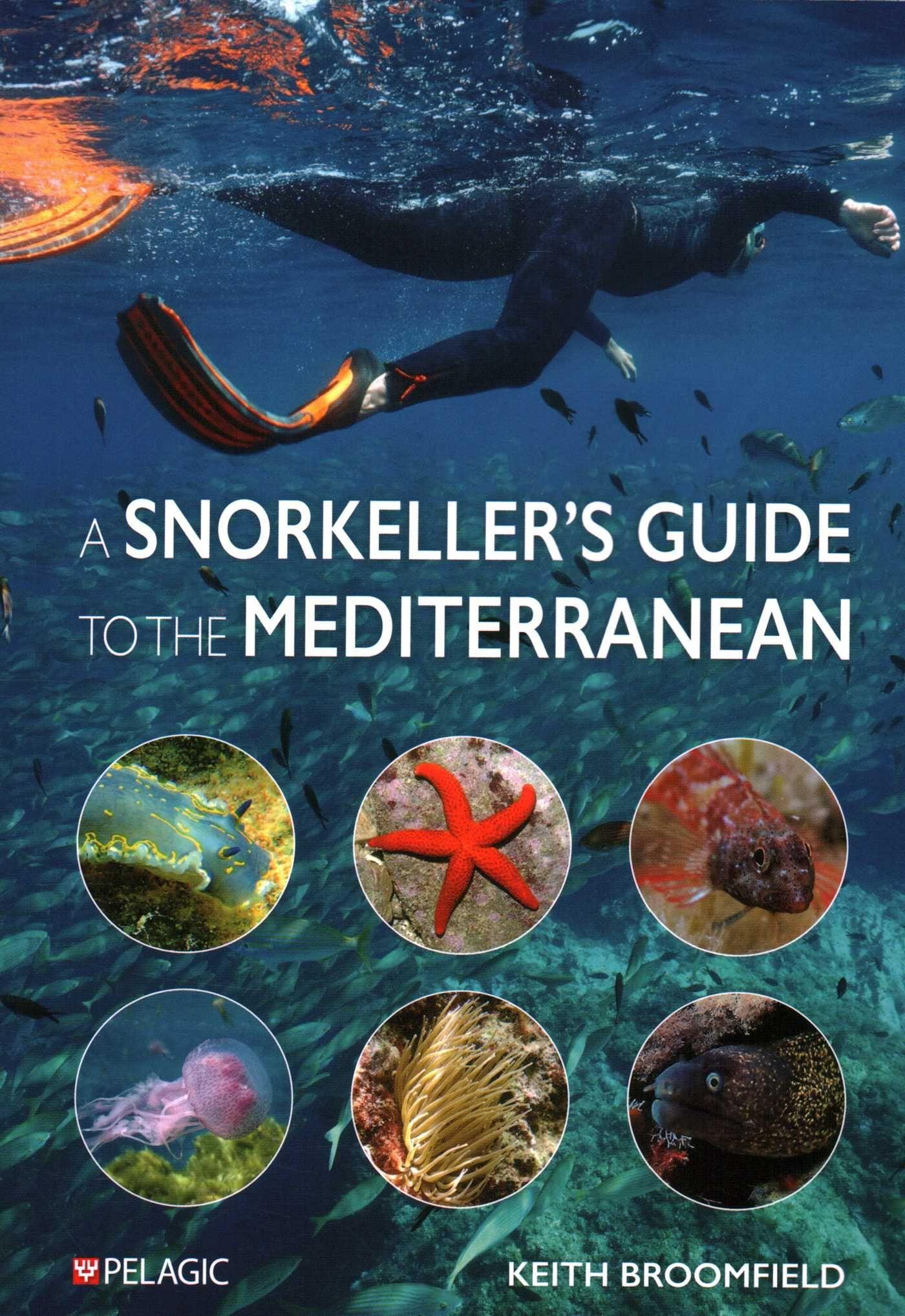 Vorderes Coverbild Snorkeller's Guide to the Mediterranean