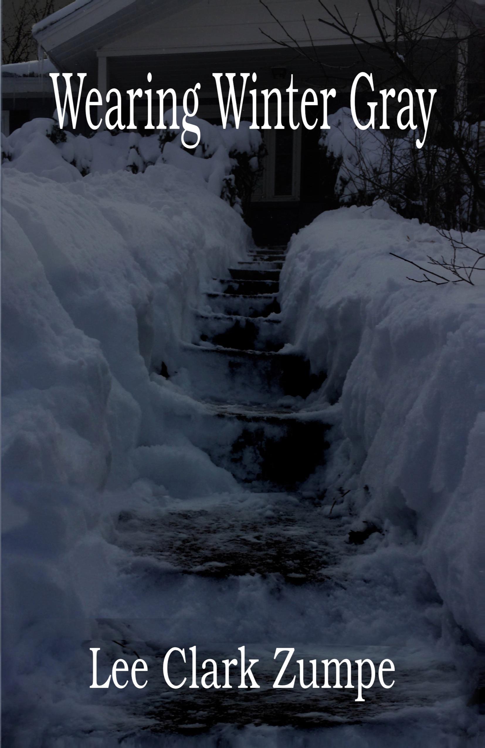 Vorderes Coverbild Wearing Winter Gray