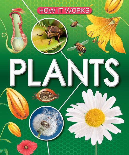 Vorderes Coverbild Plants
