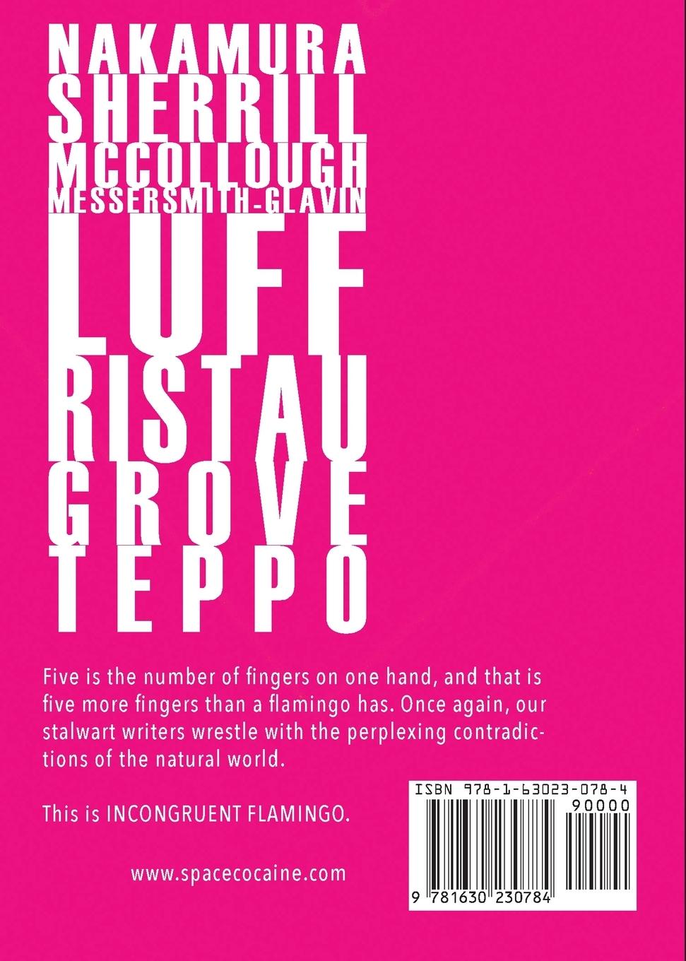 Rückseitencover Incongruent Flamingo