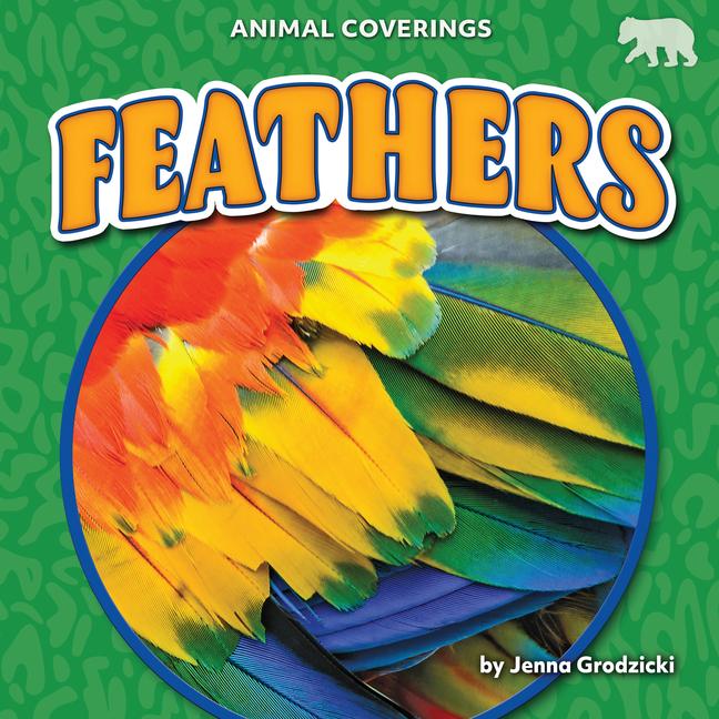 Vorderes Coverbild Feathers