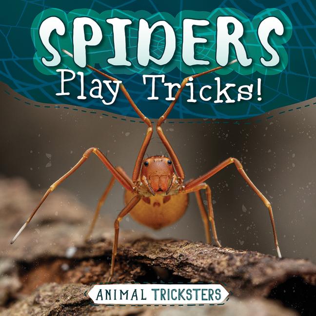 Vorderes Coverbild Spiders Play Tricks!