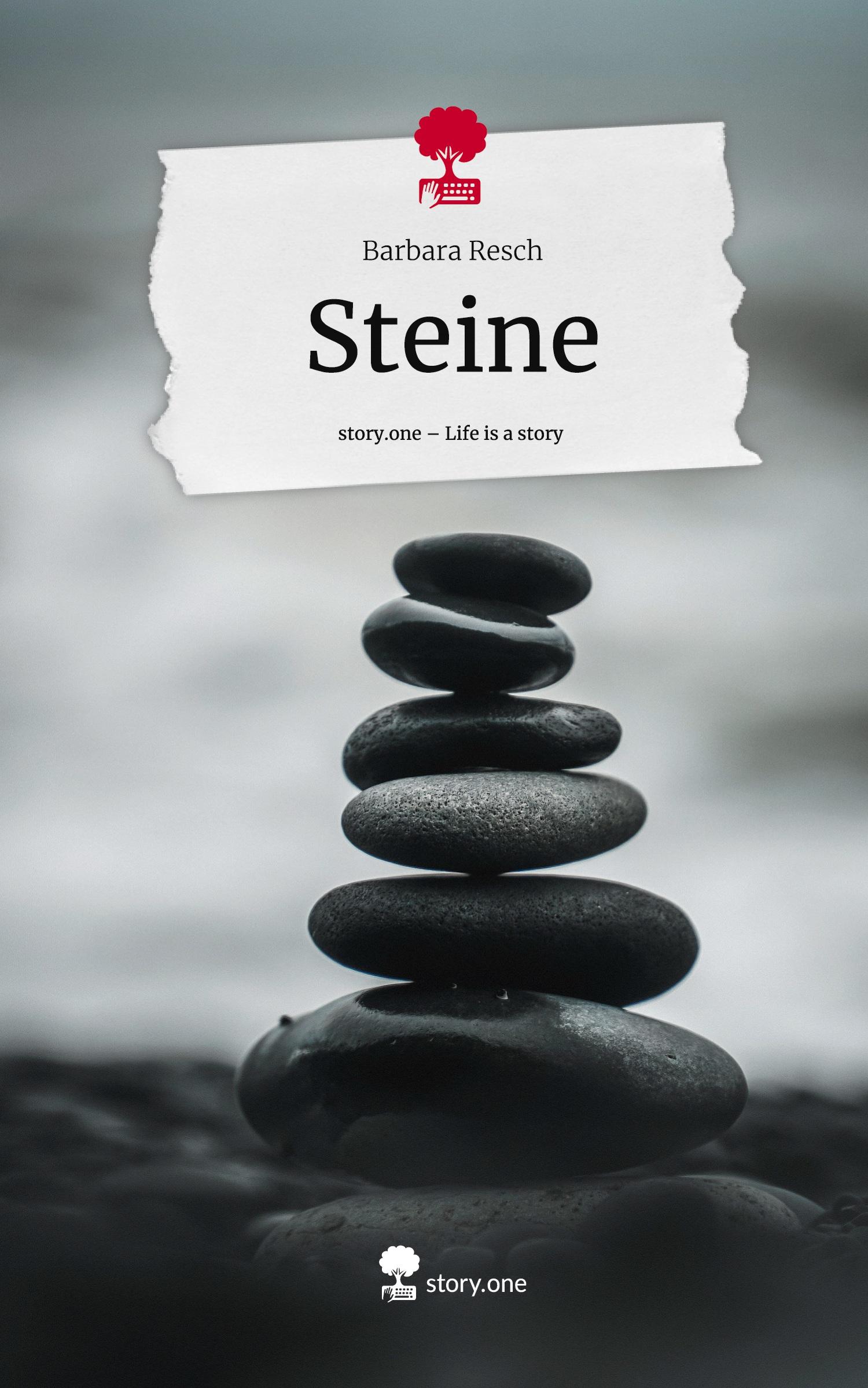 Vorderes Coverbild Steine. Life is a Story - story.one