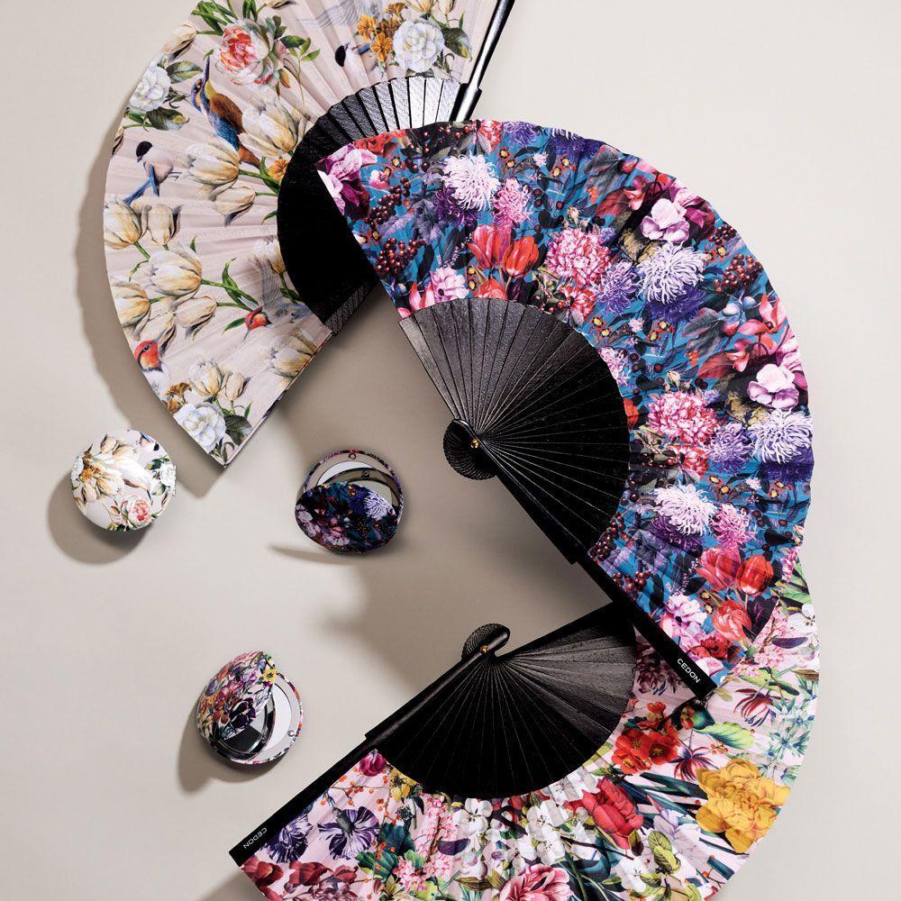 Beispielinhalt (Bild) Fächer Eisvogel