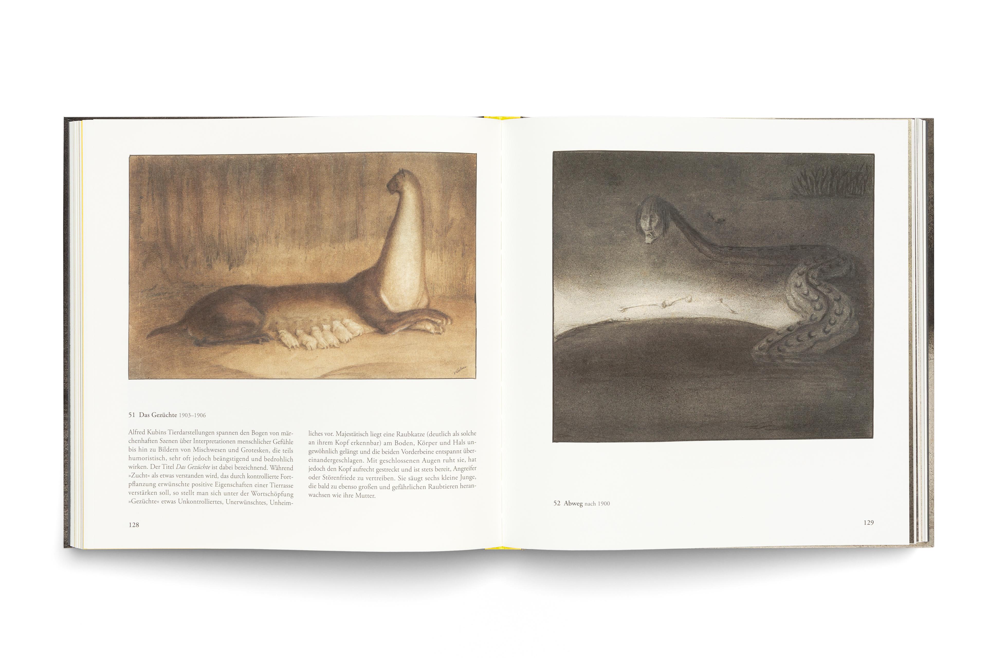 Beispielinhalt (Bild) Alfred Kubin