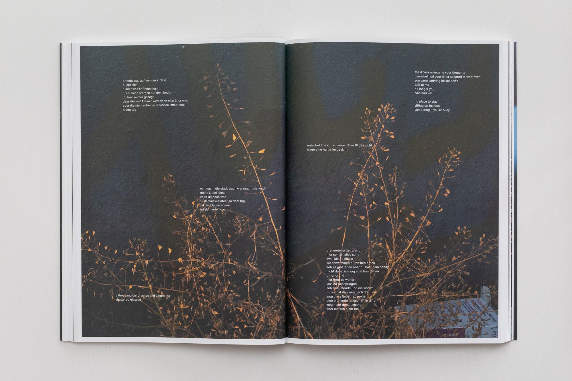 Beispielinhalt (Bild) Paul Hutchinson