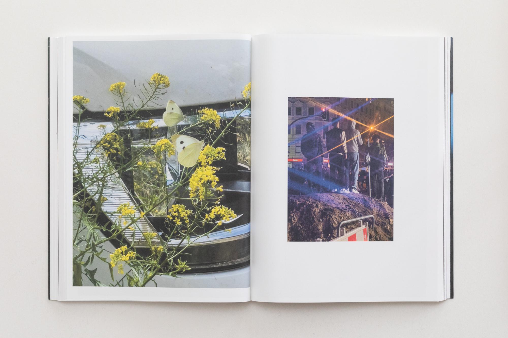 Beispielinhalt (Bild) Paul Hutchinson