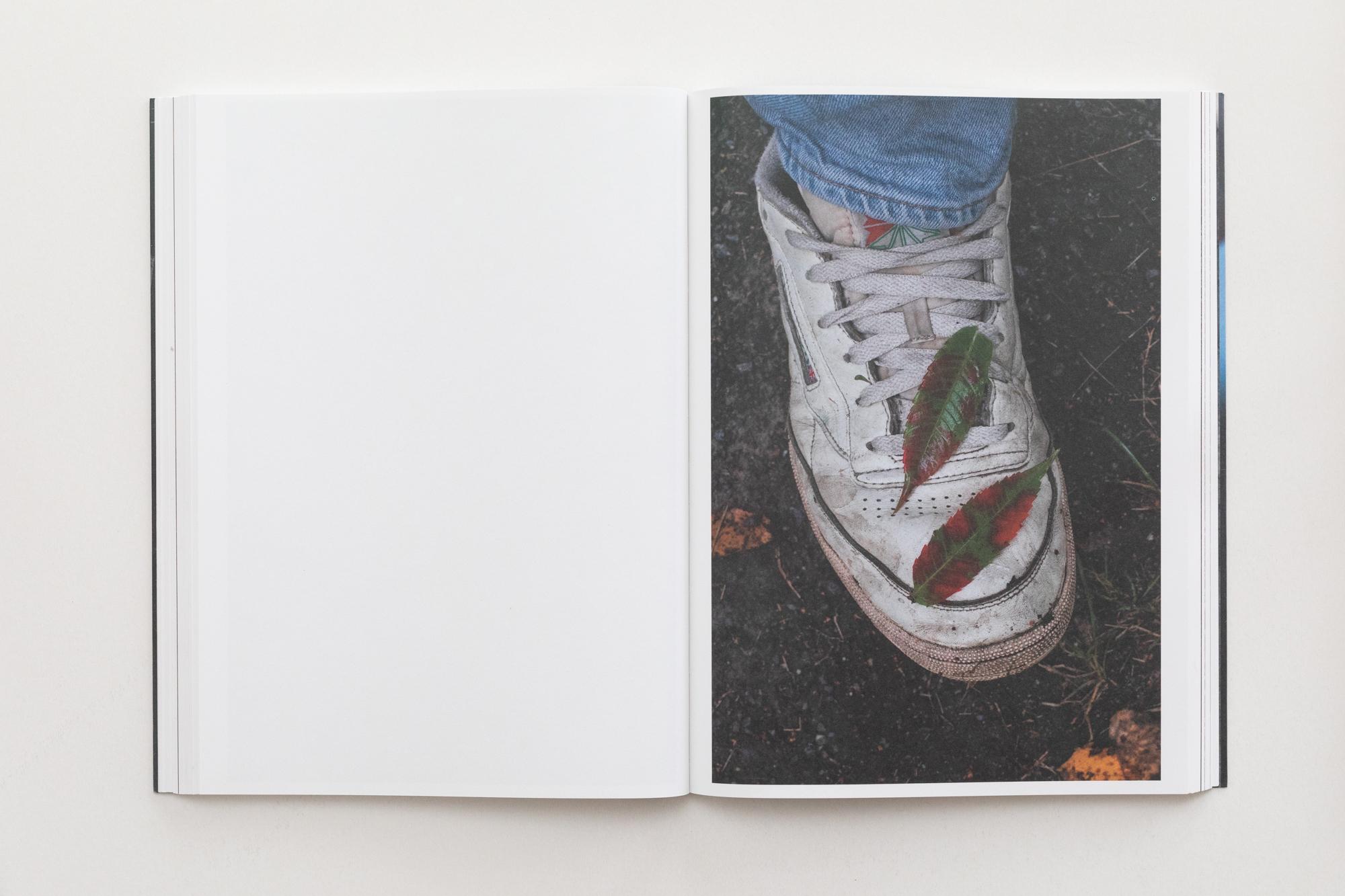 Beispielinhalt (Bild) Paul Hutchinson