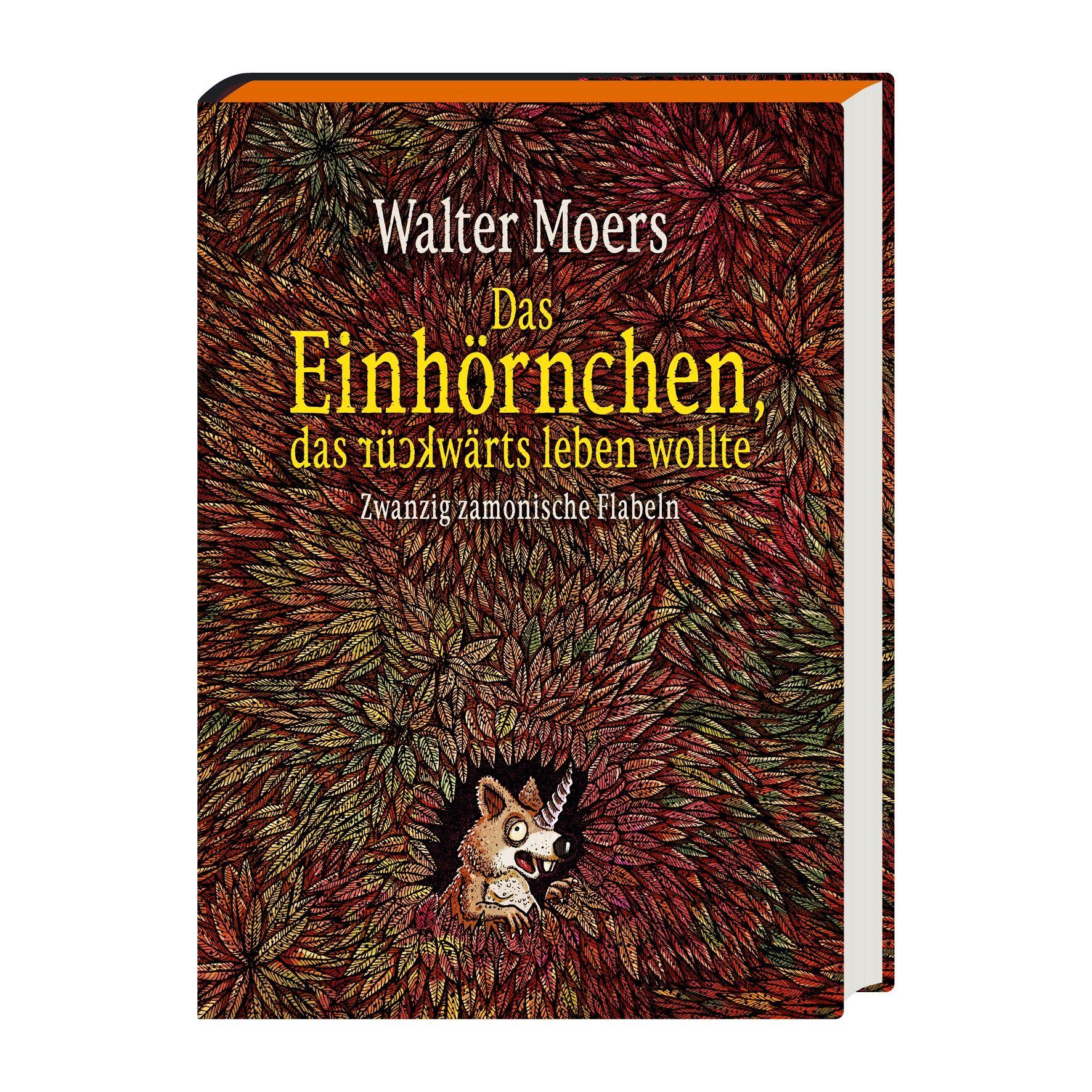 Beispielinhalt (Bild) Das Einhörnchen, das rückwärts leben wollte