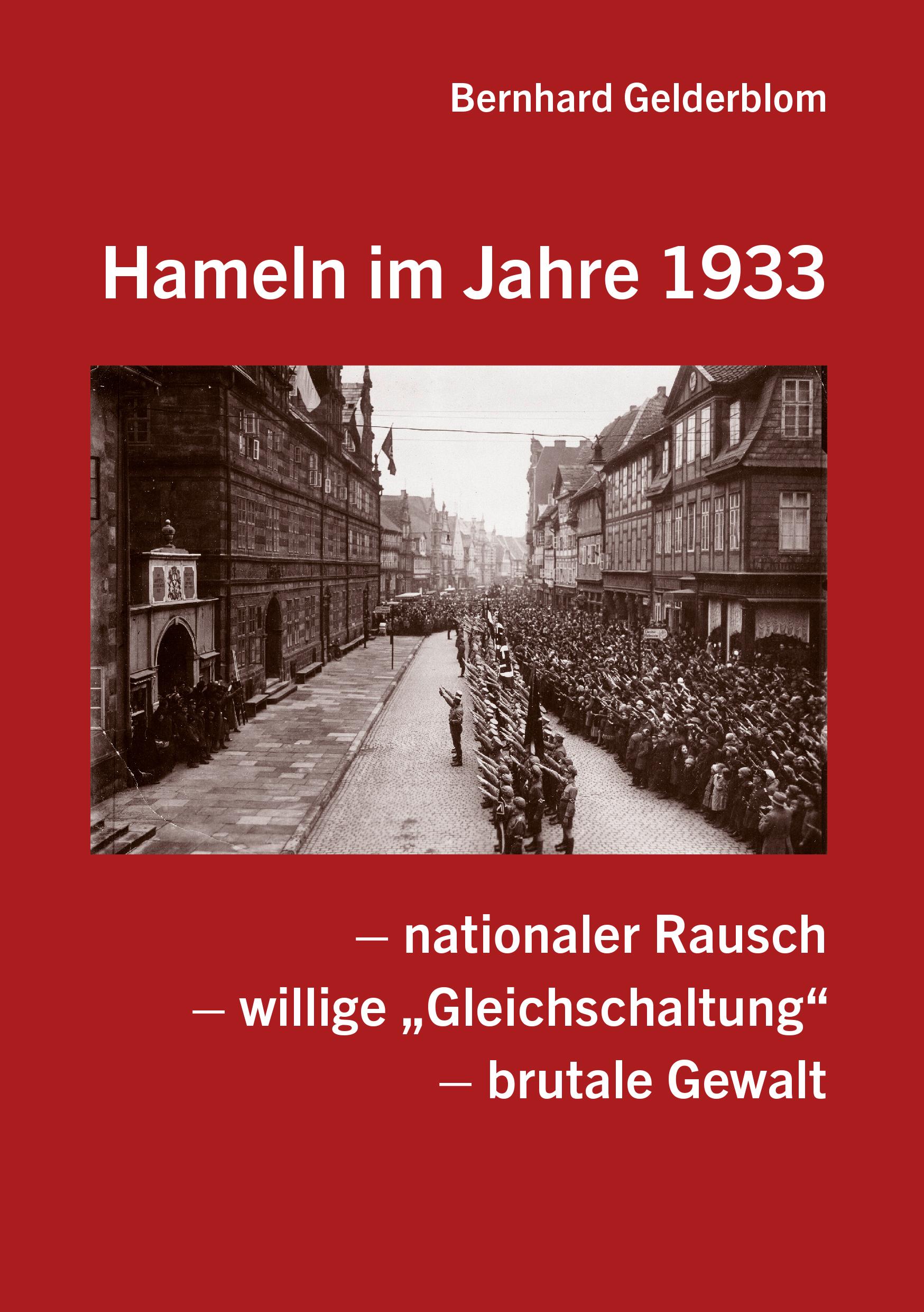 Vorderes Coverbild Hameln im Jahre 1933