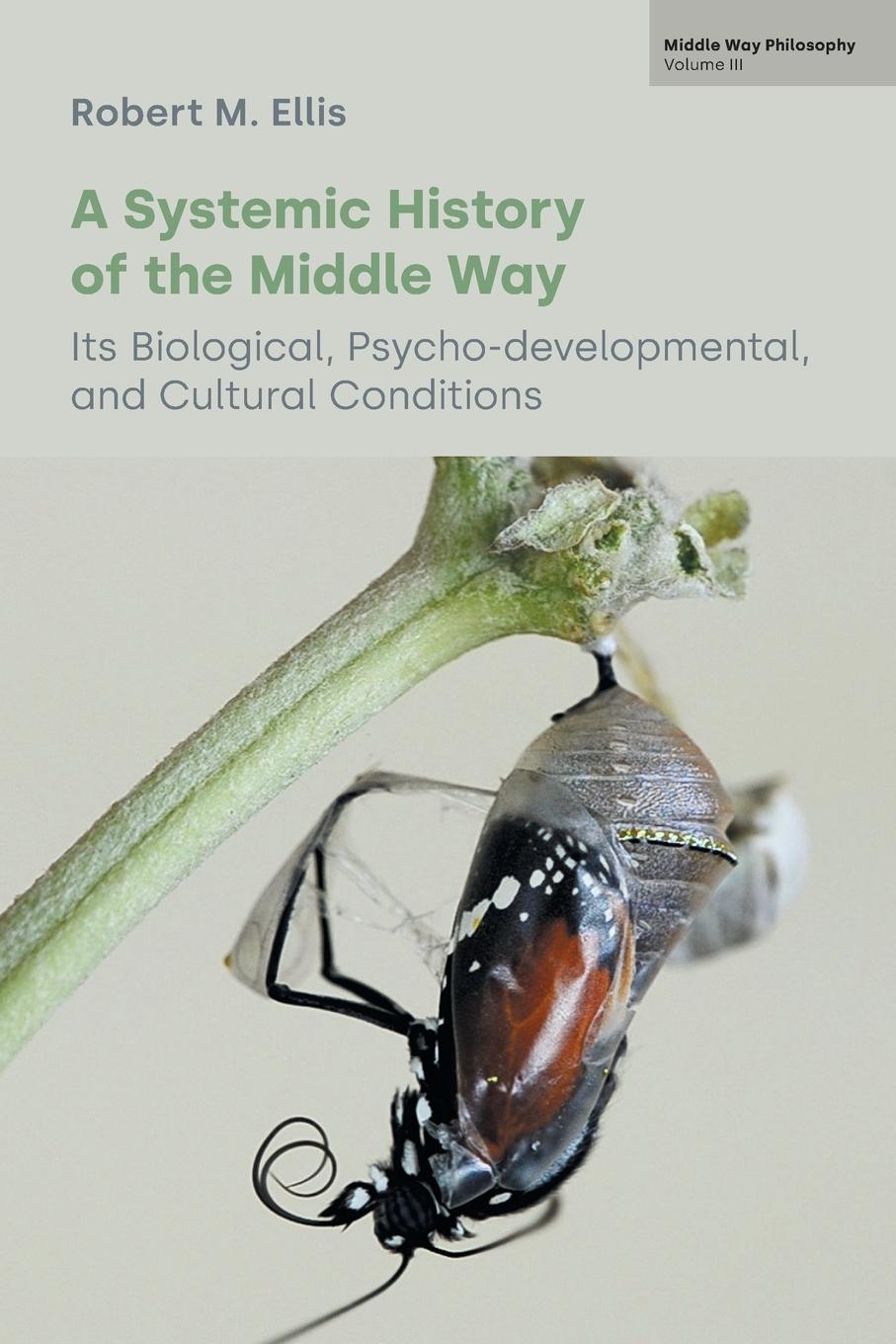 Vorderes Coverbild A Systemic History of the Middle Way