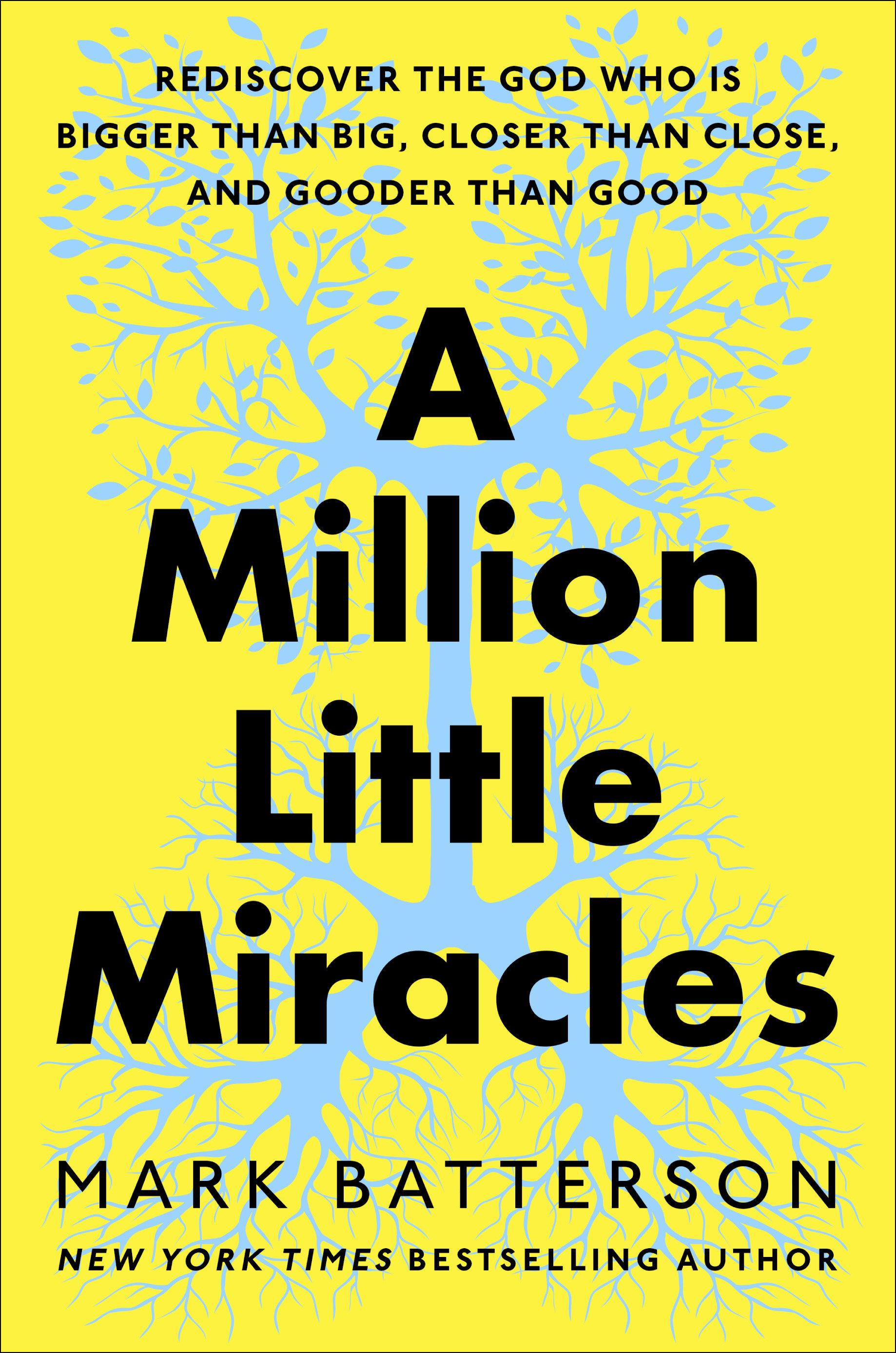 Vorderes Coverbild A Million Little Miracles