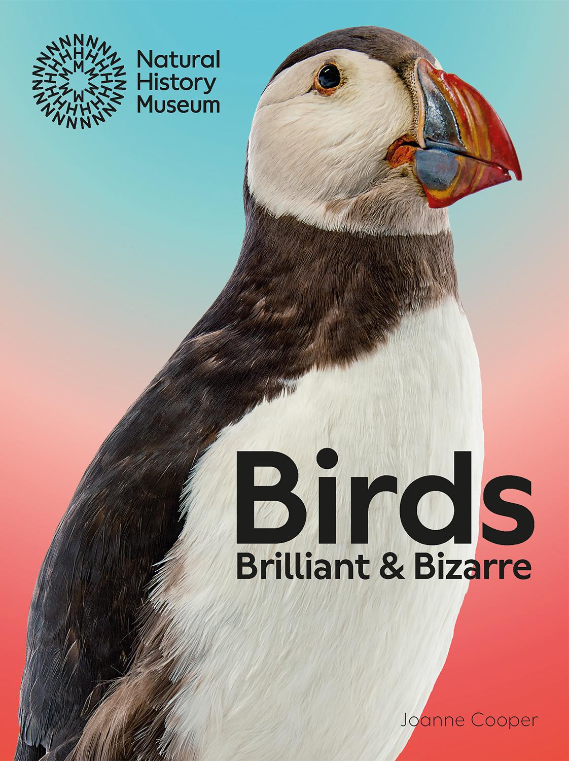 Vorderes Coverbild Birds