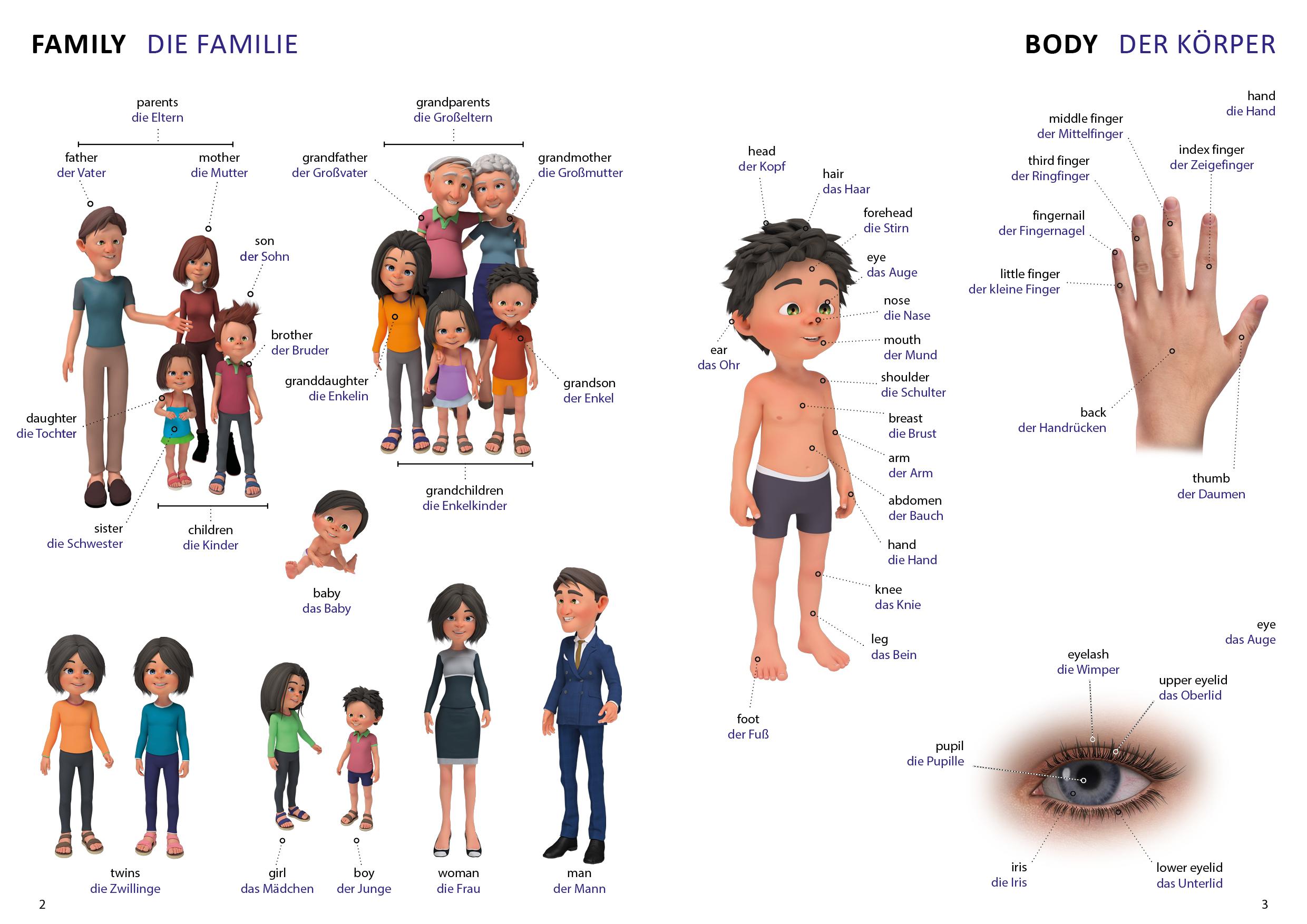Beispielinhalt (Bild) Bildwörterbuch für Kinder und Eltern Englisch-Deutsch