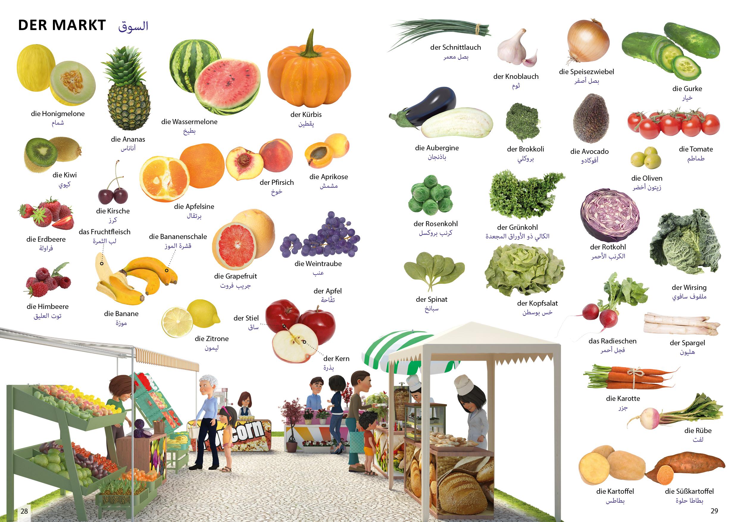 Beispielinhalt (Bild) Bildwörterbuch für Kinder und Eltern Arabisch-Deutsch