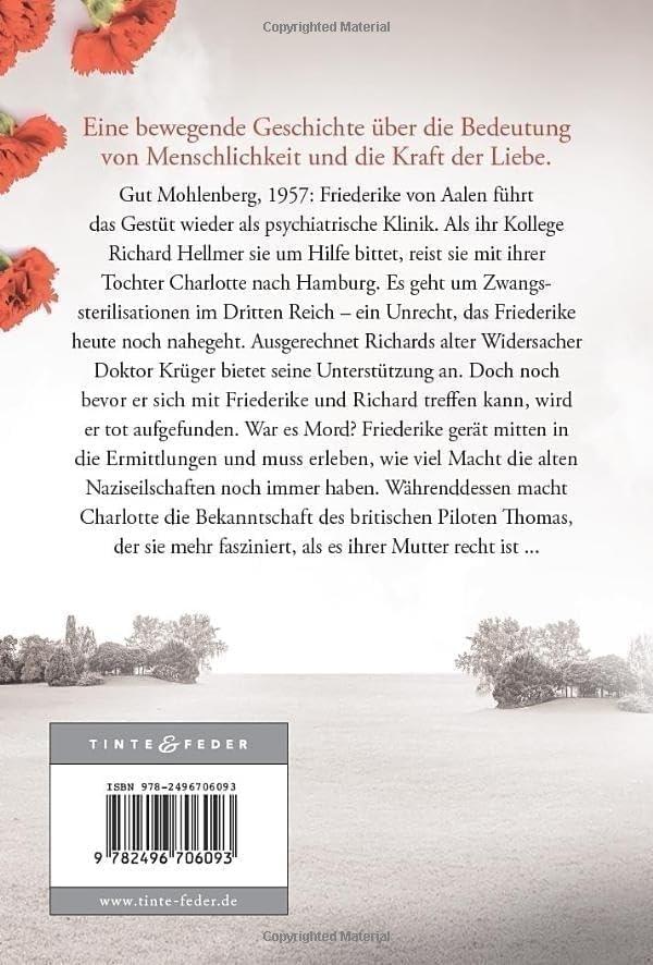 Rückseitencover Mehr als die Gerechtigkeit