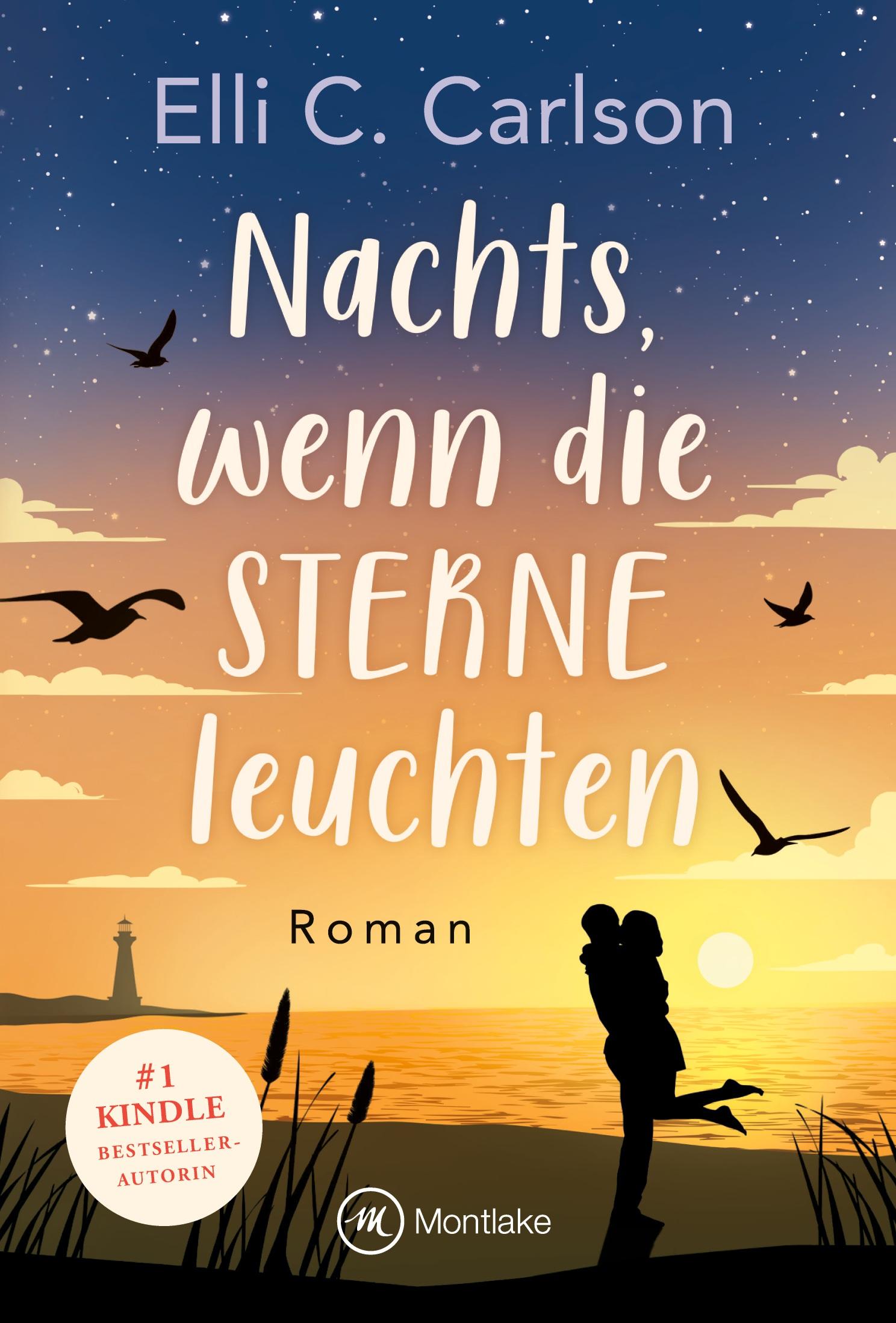 Vorderes Coverbild Nachts, wenn die Sterne leuchten