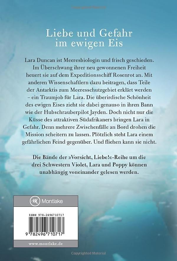 Rückseitencover Ein verwegener Plan