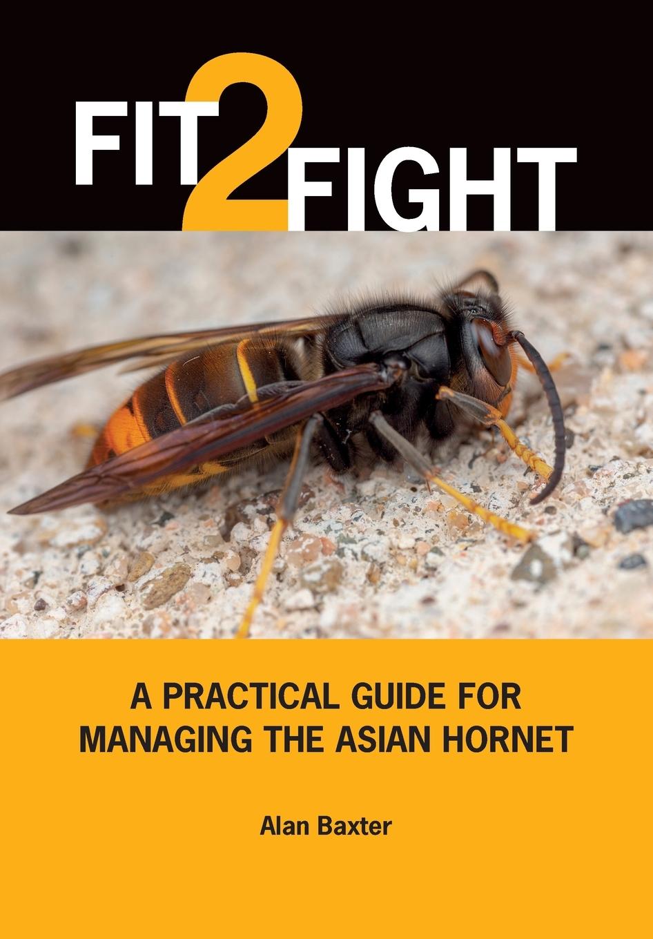 Vorderes Coverbild Fit 2 Fight