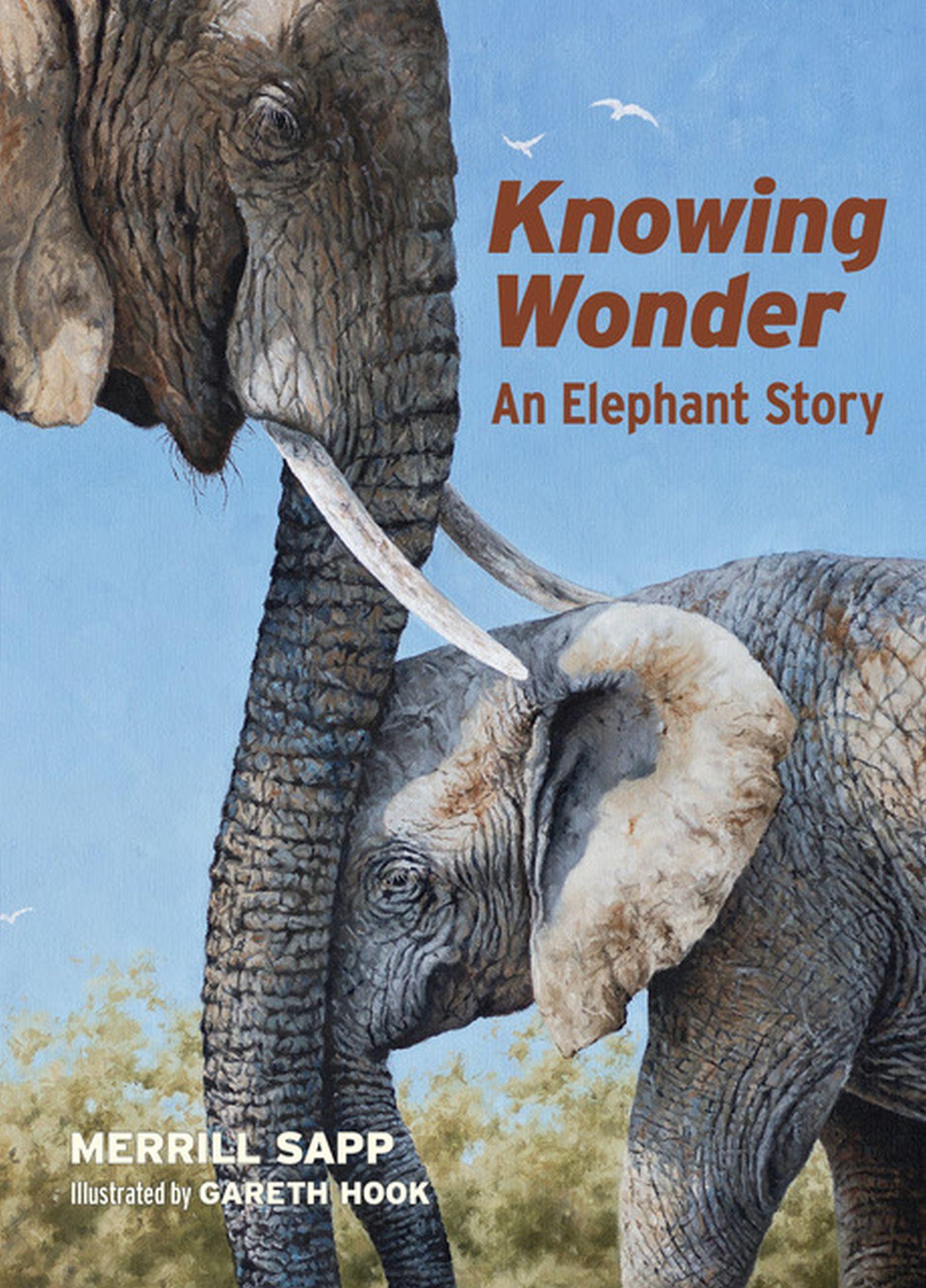Vorderes Coverbild Knowing Wonder