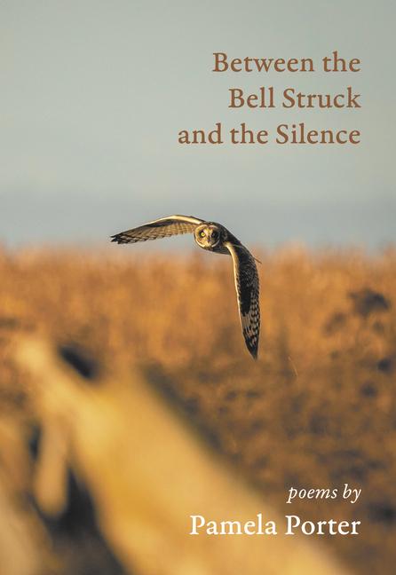 Vorderes Coverbild Between the Bell Struck and the Silence