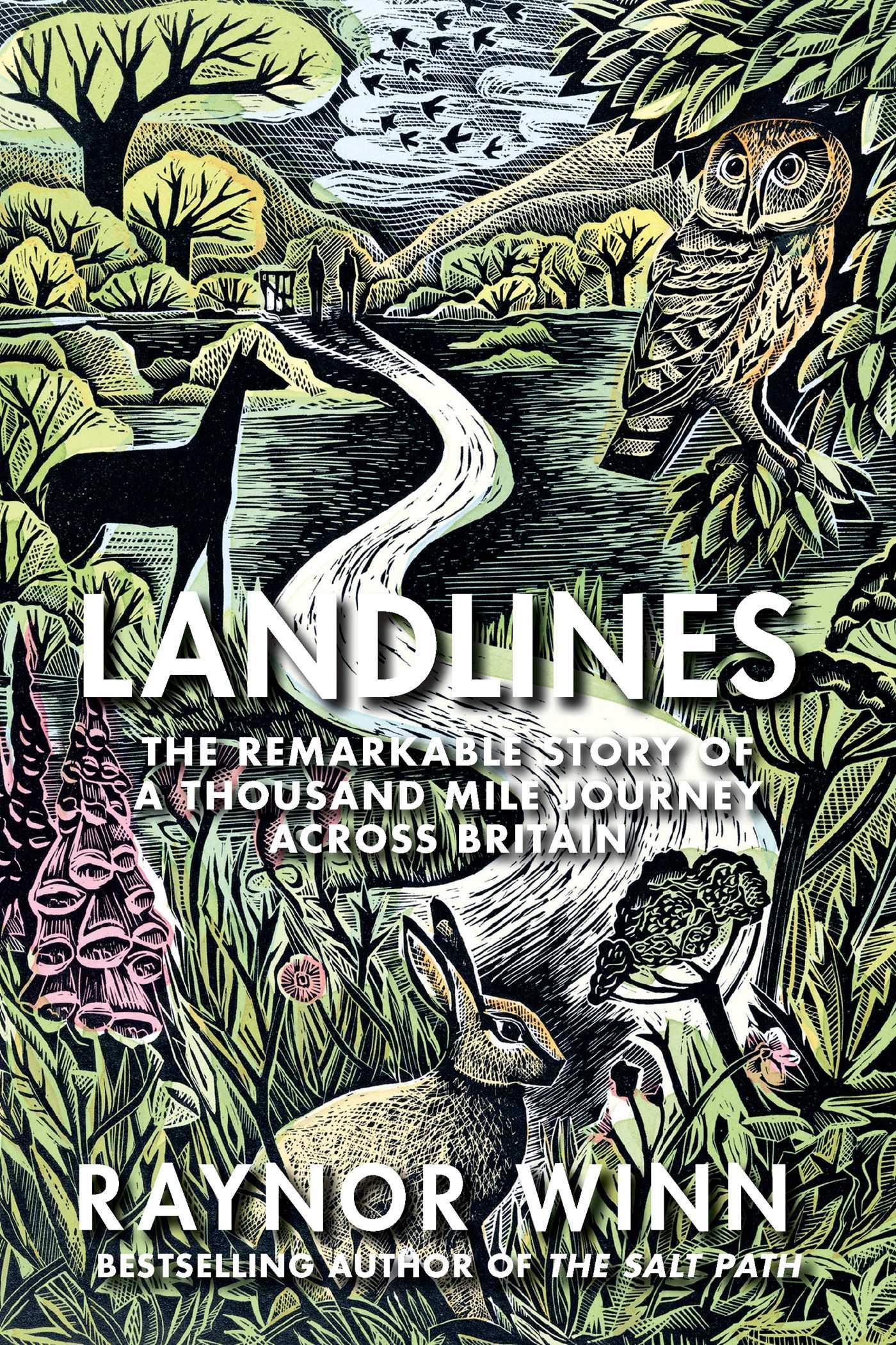 Vorderes Coverbild Landlines