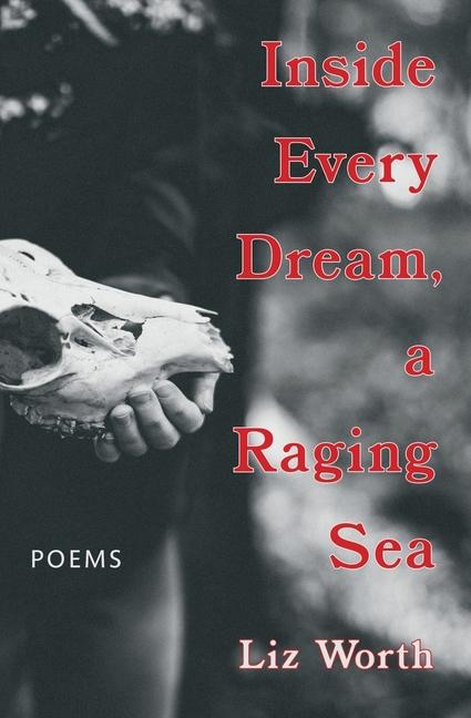 Vorderes Coverbild Inside Every Dream, a Raging Sea