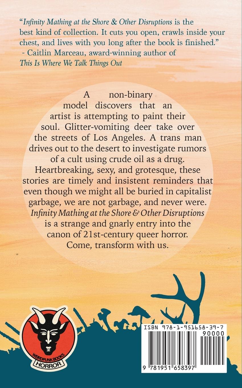 Rückseitencover Infinity Mathing at the Shore & Other Disruptions