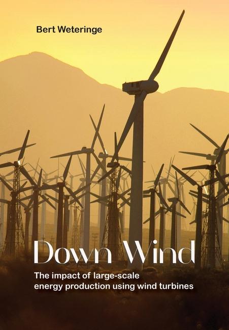 Vorderes Coverbild Down Wind