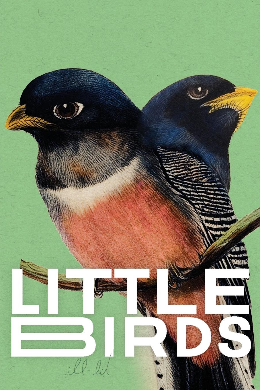 Vorderes Coverbild Little Birds (green)