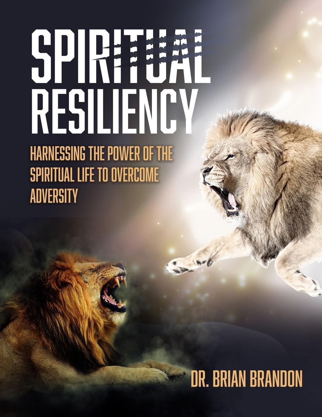 Vorderes Coverbild Spiritual Resiliency