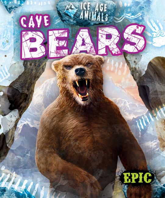 Vorderes Coverbild Cave Bears