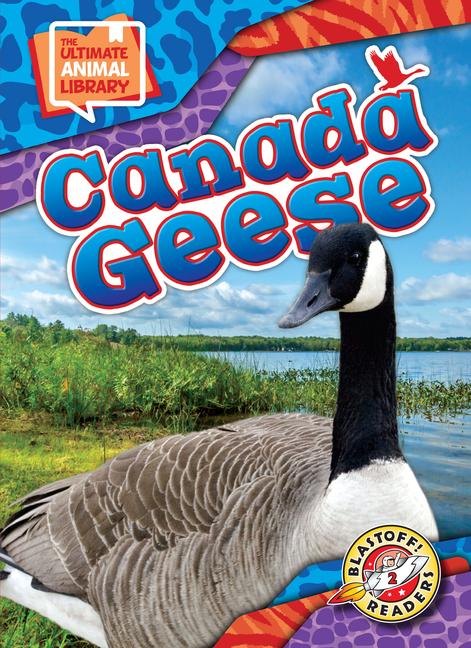 Vorderes Coverbild Canada Geese