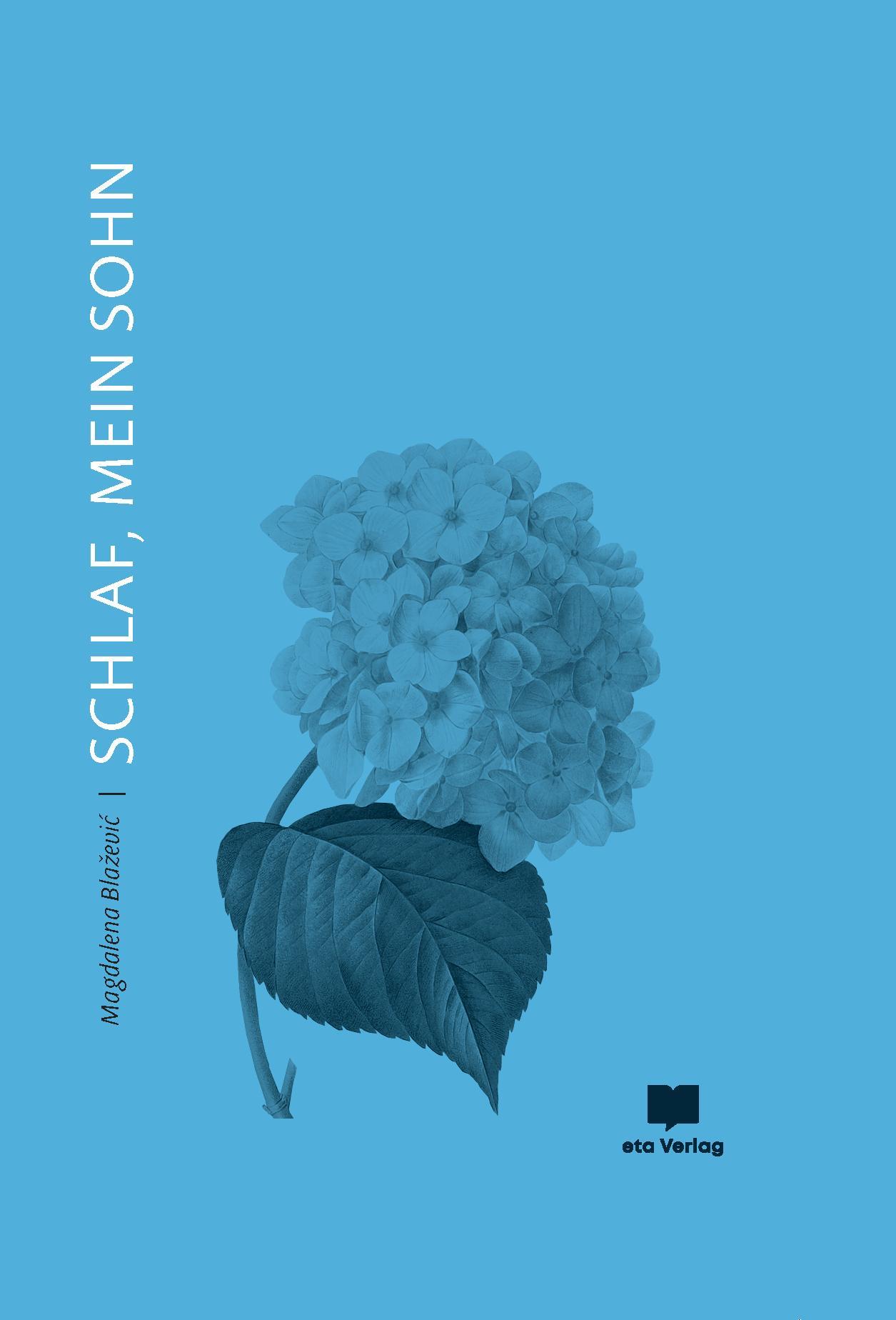 Vorderes Coverbild Schlaf, mein Sohn