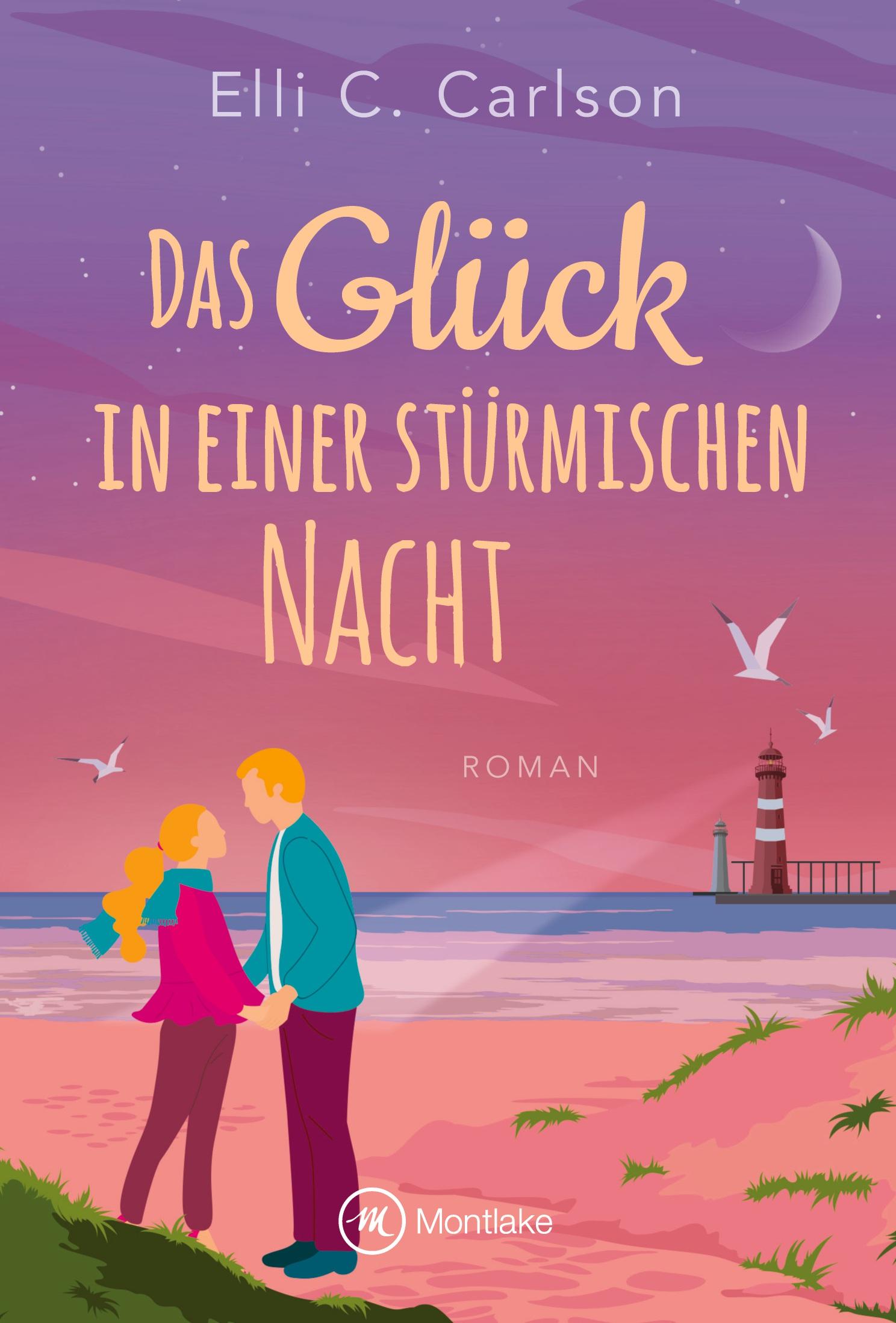 Vorderes Coverbild Das Glück in einer stürmischen Nacht