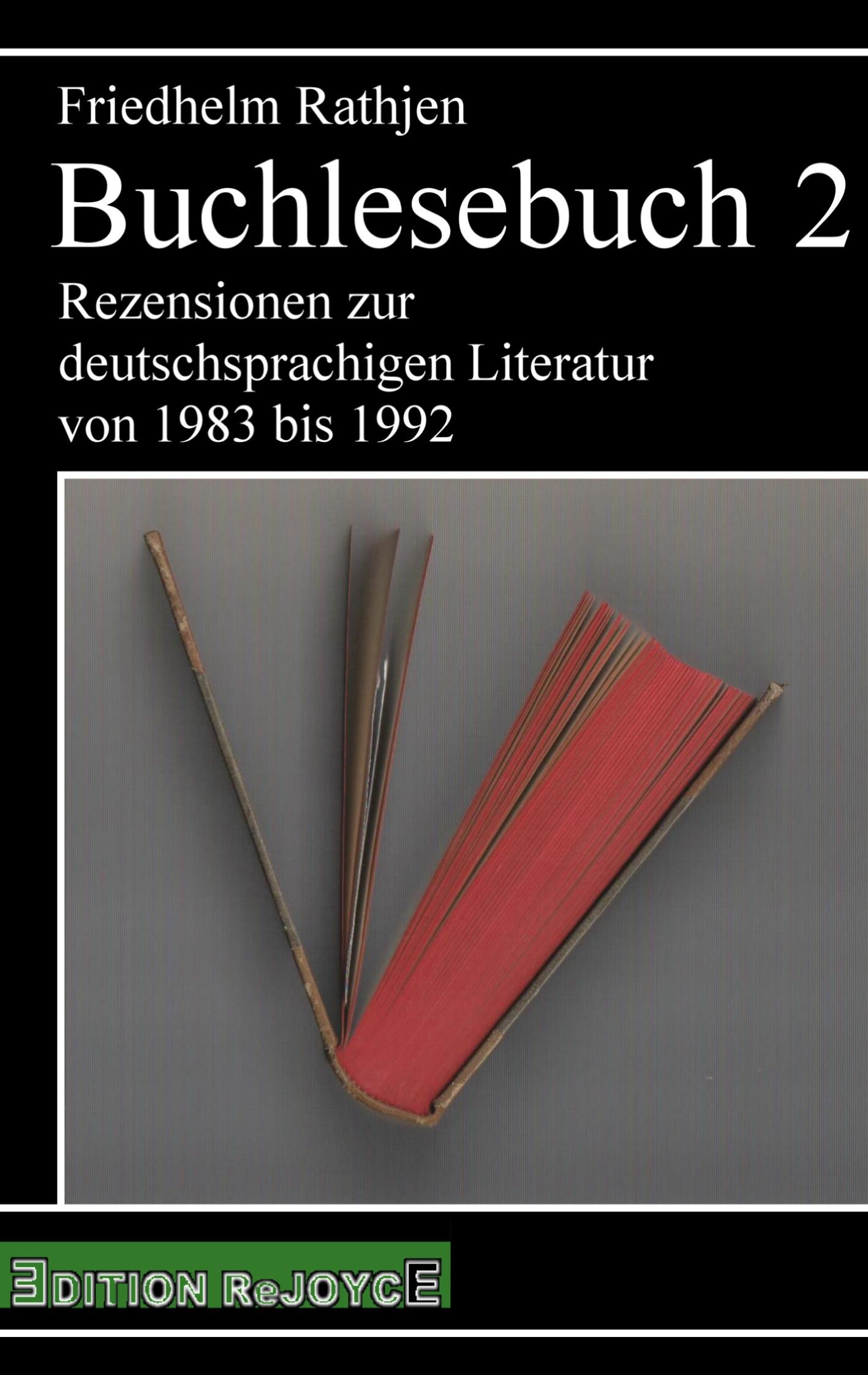 Vorderes Coverbild Buchlesebuch 2